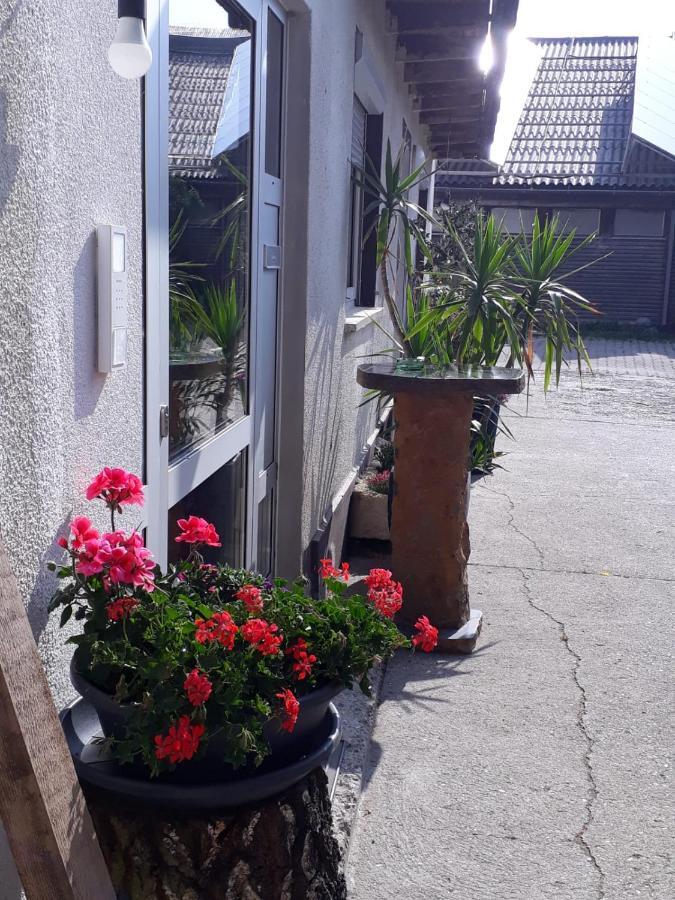 Gaestehaus Gl Ellwangen Ngoại thất bức ảnh
